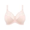 Women's Morgan Banded Comfort & Support. Three-Section Cup, Side Frame, Stretch Lace. Solid Color Dd+ Bras